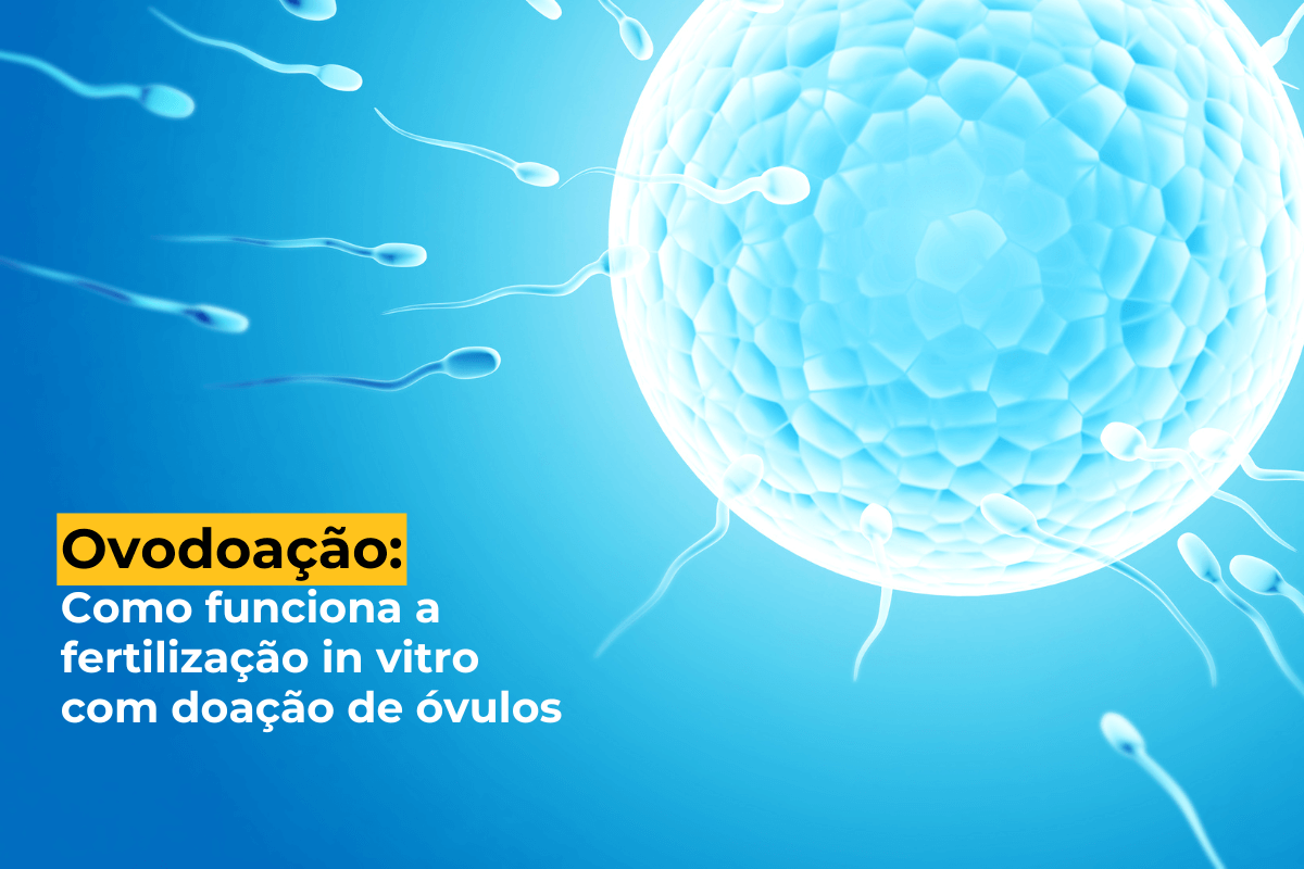 Ovodoação em Maringá: Como Funciona a Fertilização In Vitro com Doação de Óvulos