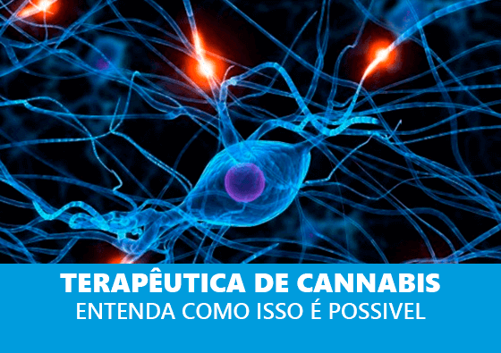 Terapêutica de cannabis: entenda como isso é possivel