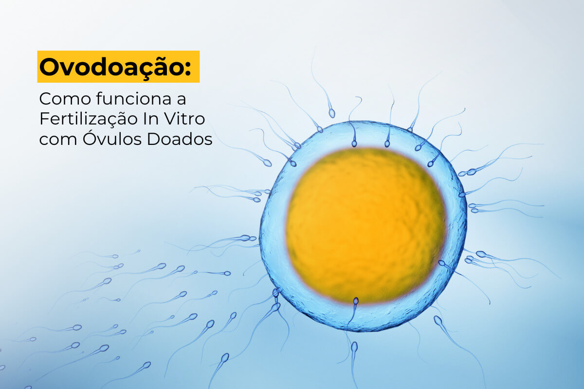 Ovodoação em Botafogo: Como Funciona a Fertilização In Vitro com Óvulos Doados