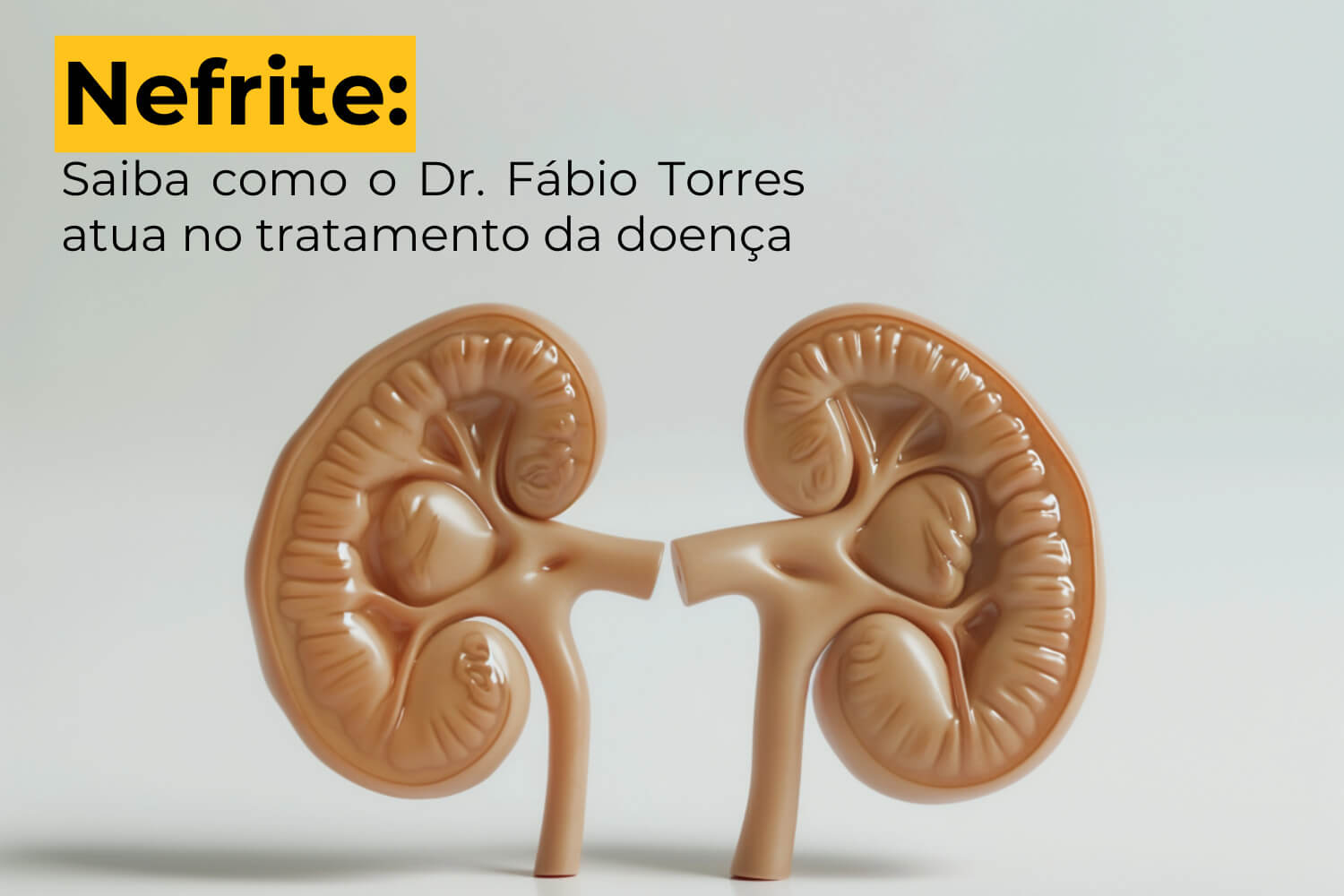 Tratamento para Glomerulonefrites Maringá: Saiba como o Dr. Fabio Torres Atua no Tratamento da Doença